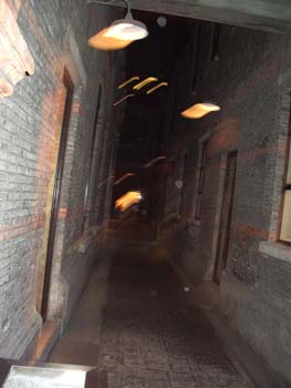 IMGP0345